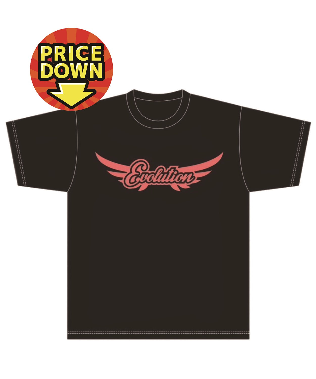 【値下げしました!!】Tシャツ Evolution
