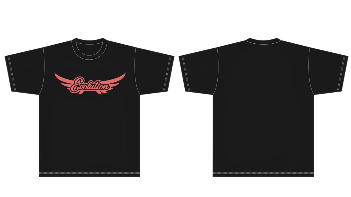 【値下げしました!!】Tシャツ Evolution