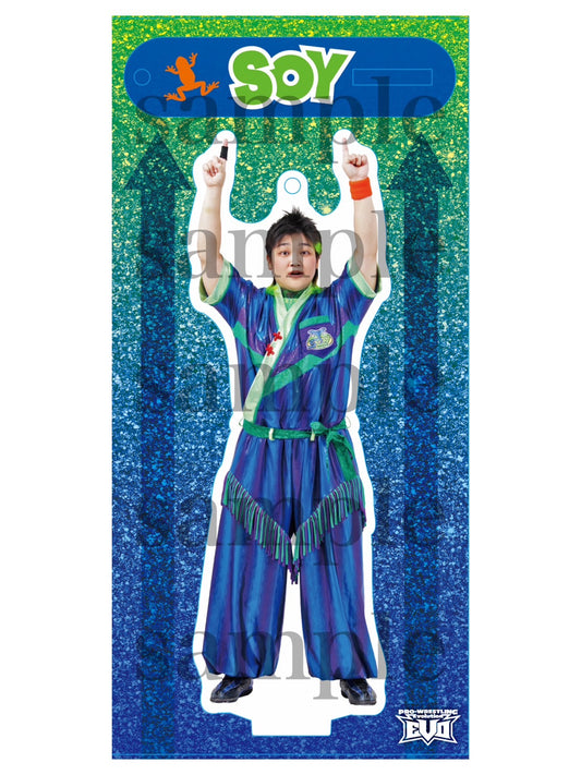 アクスタ　ソイ